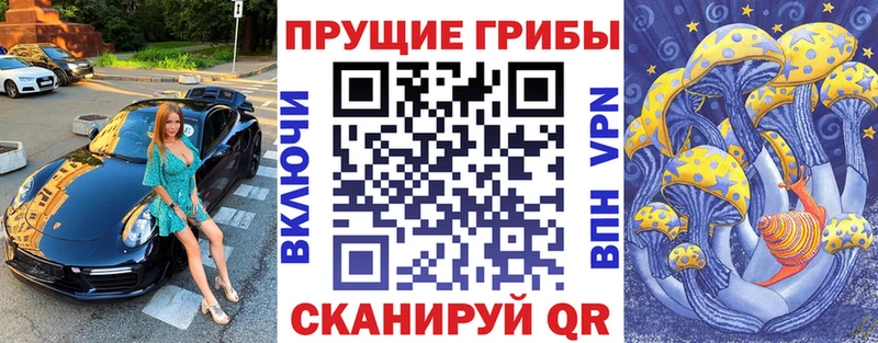 Купить закладки  Осинники  Галлюциногенные грибы MAGIC MUSHROOMS 
