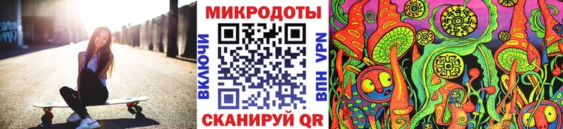 Псилоцибиновые грибы Psilocybe Осинники